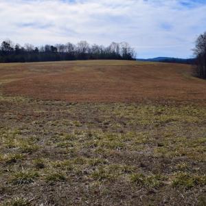 Photo #20 of SOLD property in Off Colonial Turnpike, Rocky Mount, VA 96.1 acres