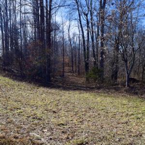Photo #21 of SOLD property in Off Colonial Turnpike, Rocky Mount, VA 96.1 acres