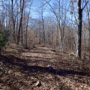 Photo #27 of SOLD property in Off Colonial Turnpike, Rocky Mount, VA 96.1 acres