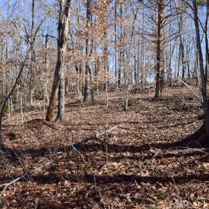 Photo #29 of SOLD property in Off Colonial Turnpike, Rocky Mount, VA 96.1 acres