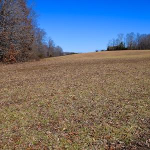 Photo #35 of SOLD property in Off Colonial Turnpike, Rocky Mount, VA 96.1 acres