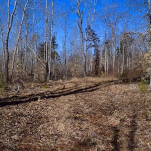 Photo #39 of SOLD property in Off Colonial Turnpike, Rocky Mount, VA 96.1 acres