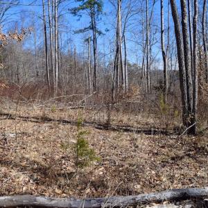 Photo #40 of SOLD property in Off Colonial Turnpike, Rocky Mount, VA 96.1 acres