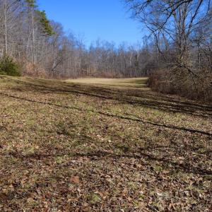 Photo #41 of SOLD property in Off Colonial Turnpike, Rocky Mount, VA 96.1 acres