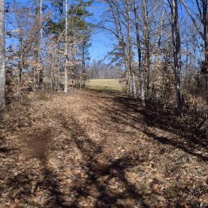 Photo #44 of SOLD property in Off Colonial Turnpike, Rocky Mount, VA 96.1 acres
