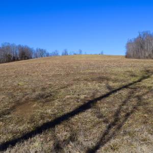 Photo #45 of SOLD property in Off Colonial Turnpike, Rocky Mount, VA 96.1 acres