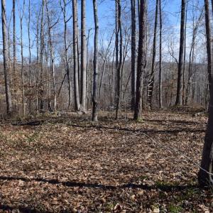 Photo #47 of SOLD property in Off Colonial Turnpike, Rocky Mount, VA 96.1 acres