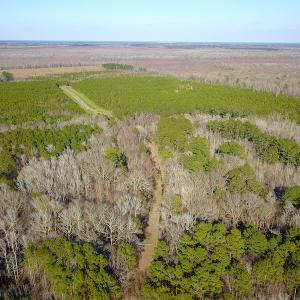 Photo #12 of SOLD property in Off Arrow Lane, Lewiston, NC 225.0 acres