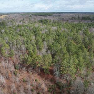 Photo #11 of SOLD property in Off Good Hope Road, Lanexa, VA 26.3 acres