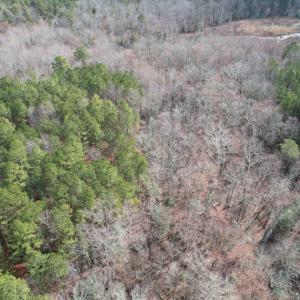 Photo #12 of SOLD property in Off Good Hope Road, Lanexa, VA 26.3 acres
