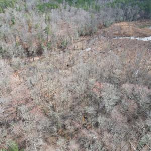 Photo #13 of SOLD property in Off Good Hope Road, Lanexa, VA 26.3 acres