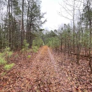 Photo #15 of SOLD property in Off Good Hope Road, Lanexa, VA 26.3 acres