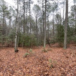 Photo #19 of SOLD property in Off Good Hope Road, Lanexa, VA 26.3 acres