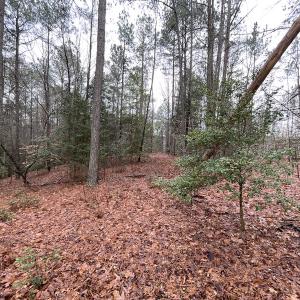Photo #20 of SOLD property in Off Good Hope Road, Lanexa, VA 26.3 acres