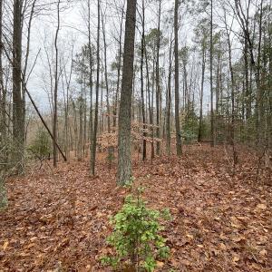 Photo #22 of SOLD property in Off Good Hope Road, Lanexa, VA 26.3 acres