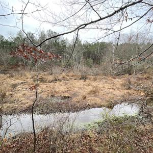 Photo #24 of SOLD property in Off Good Hope Road, Lanexa, VA 26.3 acres