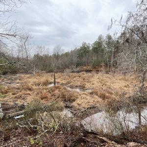 Photo #25 of SOLD property in Off Good Hope Road, Lanexa, VA 26.3 acres