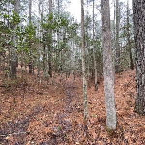Photo #26 of SOLD property in Off Good Hope Road, Lanexa, VA 26.3 acres