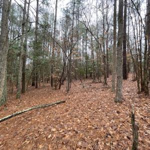 Photo #27 of SOLD property in Off Good Hope Road, Lanexa, VA 26.3 acres