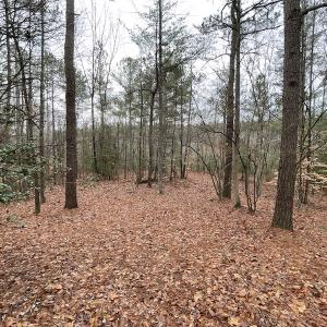 Photo #28 of SOLD property in Off Good Hope Road, Lanexa, VA 26.3 acres