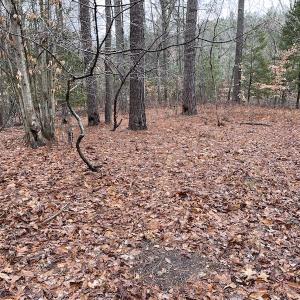 Photo #29 of SOLD property in Off Good Hope Road, Lanexa, VA 26.3 acres