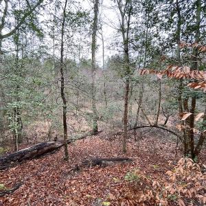 Photo #30 of SOLD property in Off Good Hope Road, Lanexa, VA 26.3 acres