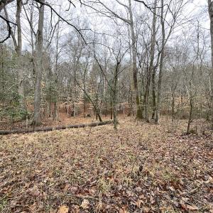 Photo #31 of SOLD property in Off Good Hope Road, Lanexa, VA 26.3 acres