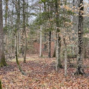 Photo #32 of SOLD property in Off Good Hope Road, Lanexa, VA 26.3 acres