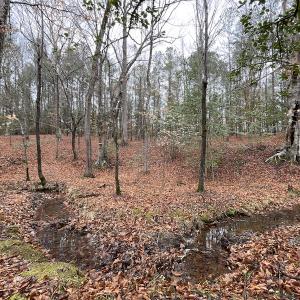 Photo #34 of SOLD property in Off Good Hope Road, Lanexa, VA 26.3 acres