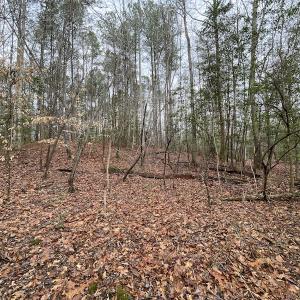 Photo #35 of SOLD property in Off Good Hope Road, Lanexa, VA 26.3 acres