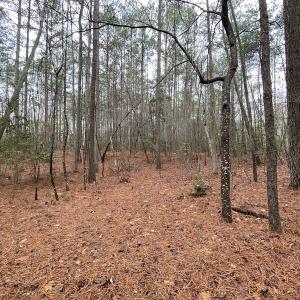 Photo #36 of SOLD property in Off Good Hope Road, Lanexa, VA 26.3 acres
