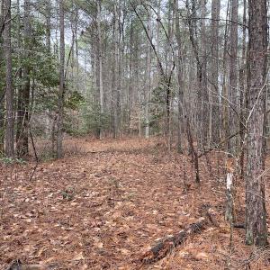 Photo #37 of SOLD property in Off Good Hope Road, Lanexa, VA 26.3 acres