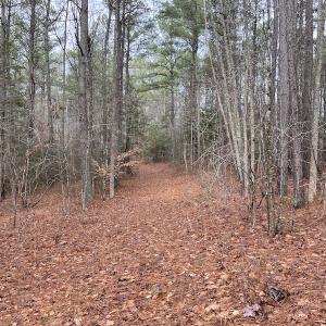 Photo #38 of SOLD property in Off Good Hope Road, Lanexa, VA 26.3 acres
