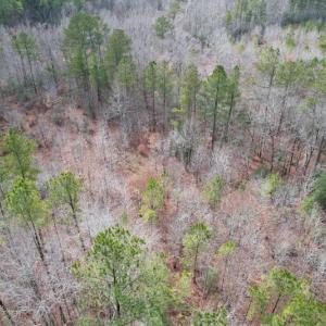 Photo #6 of SOLD property in Off Good Hope Road, Lanexa, VA 26.3 acres