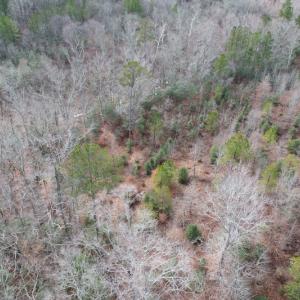 Photo #7 of SOLD property in Off Good Hope Road, Lanexa, VA 26.3 acres
