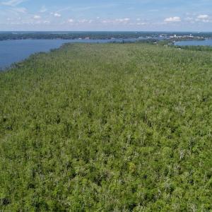 Photo #9 of SOLD property in Off Nc Hwy 158 Causeway, Camden, NC 160.0 acres