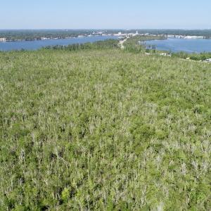 Photo #8 of SOLD property in Off Nc Hwy 158 Causeway, Camden, NC 160.0 acres