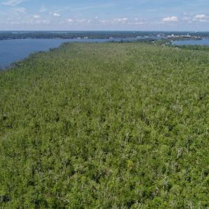 Photo #28 of SOLD property in Off Nc Hwy 158 Causeway, Camden, NC 160.0 acres