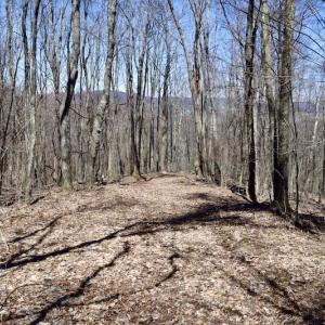 Photo #91 of SOLD property in 5117 Hot Springs Road, Hot Springs, VA 569.6 acres