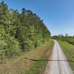 Photo #34 of SOLD property in Off Gaston Hills Lane, Gaston, NC 11.5 acres
