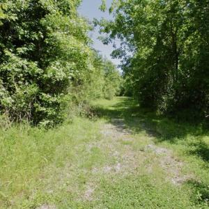 Photo #44 of SOLD property in Off Minor Run Road, Blounts Creek, NC 48.0 acres