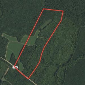 Photo #1 of SOLD property in Off Old Macon Hwy, Macon, NC 42.0 acres