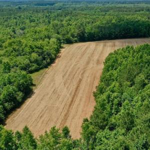Photo #3 of SOLD property in Off Old Macon Hwy, Macon, NC 42.0 acres