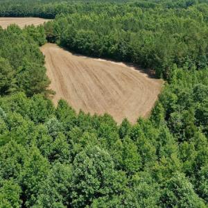 Photo #14 of SOLD property in Off Old Macon Hwy, Macon, NC 42.0 acres