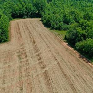 Photo #16 of SOLD property in Off Old Macon Hwy, Macon, NC 42.0 acres