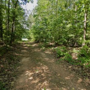 Photo #23 of SOLD property in Off Old Macon Hwy, Macon, NC 42.0 acres