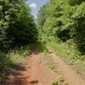 Photo #24 of SOLD property in Off Old Macon Hwy, Macon, NC 42.0 acres