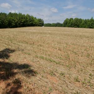 Photo #28 of SOLD property in Off Old Macon Hwy, Macon, NC 42.0 acres