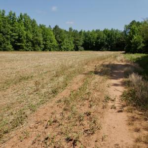 Photo #29 of SOLD property in Off Old Macon Hwy, Macon, NC 42.0 acres