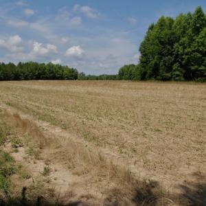Photo #34 of SOLD property in Off Old Macon Hwy, Macon, NC 42.0 acres